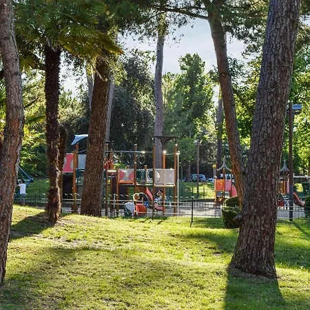 Apartment 1 Bedroom In